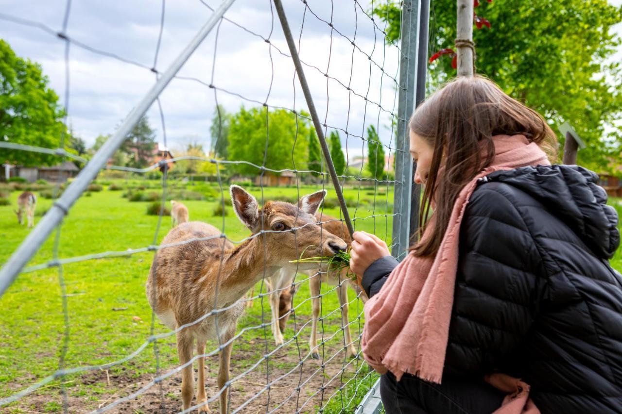 Landhotel Biberburg Bad Liebenwerda Eksteriør billede